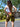 Bohemian Ethnic Printed Rustic Patchwork Five Pockets Unisex Stonewashed Cotton Handmade Cargo Shorts