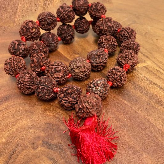 Large 16mm 27 Rudraksha Shiva 5-Face Beads Prayer Japa Mala Knotted Rosary