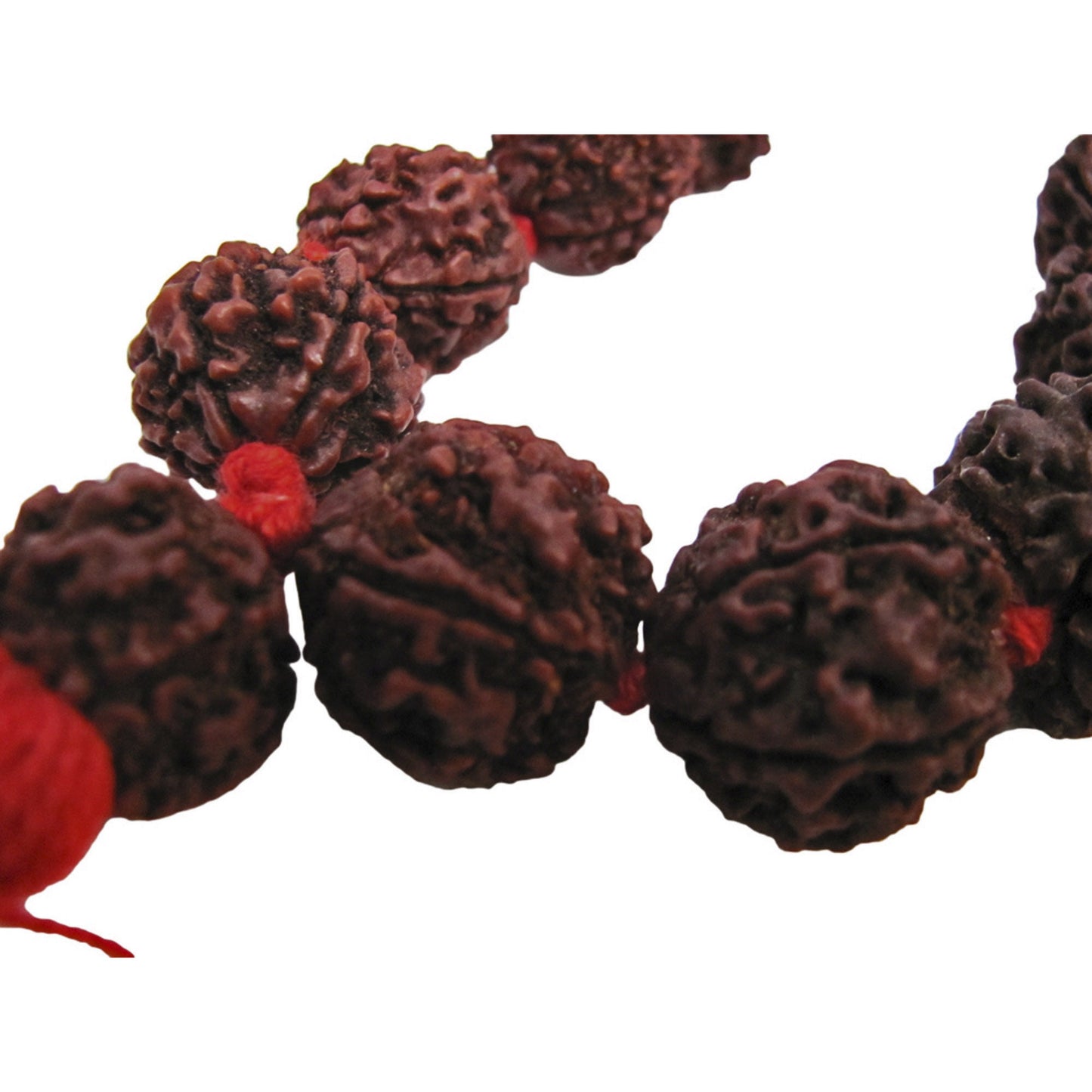 Large 15mm 54 Rudraksha Shiva 5-Face Beads Prayer Mala Rosary