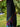 Spandex Hippie Tie - Dye Sleeveless Strechtable Bohemian Shift Maxi Tank Dress - Ambali Fashion